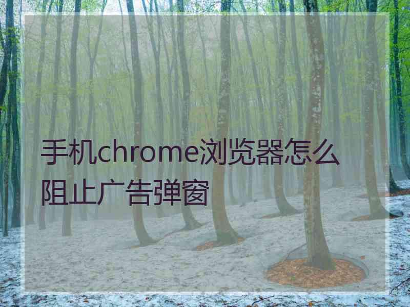 手机chrome浏览器怎么阻止广告弹窗