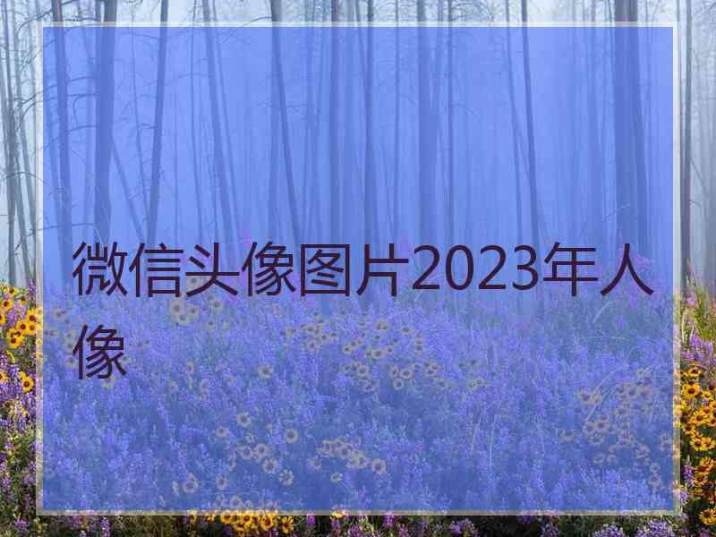 微信头像图片2023年人像