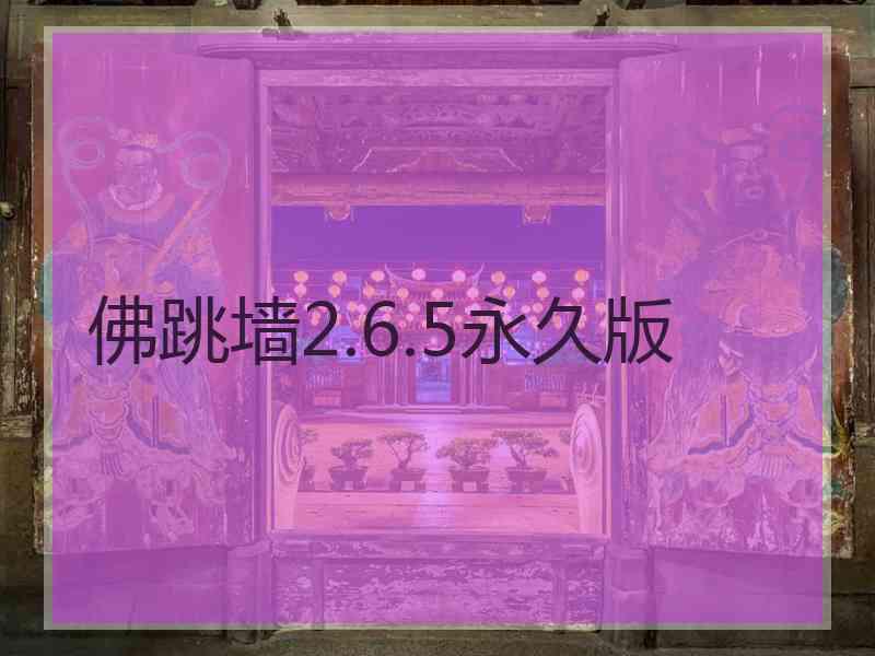 佛跳墙2.6.5永久版