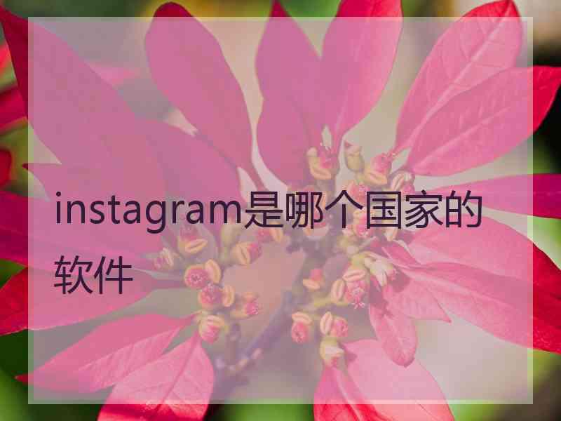 instagram是哪个国家的软件