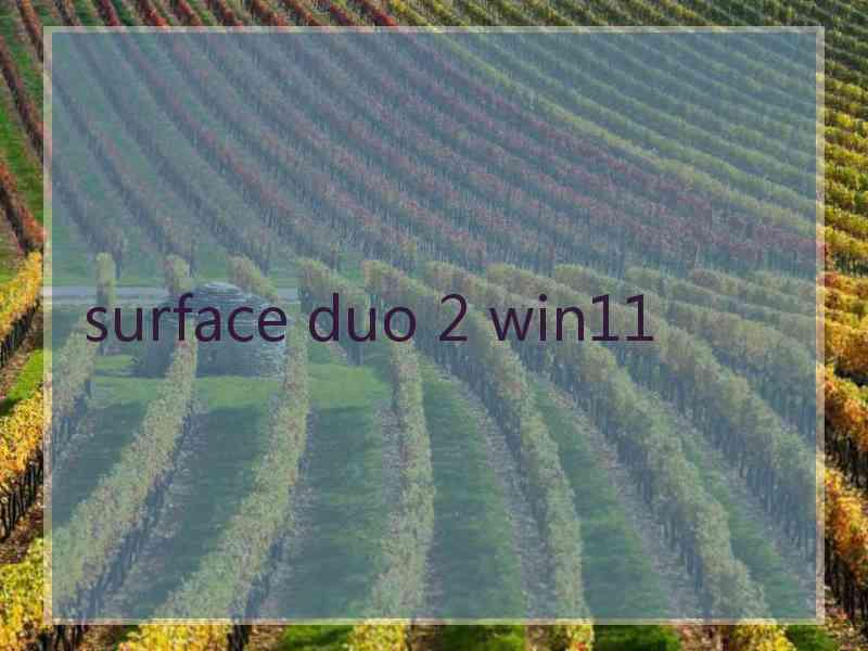 surface duo 2 win11