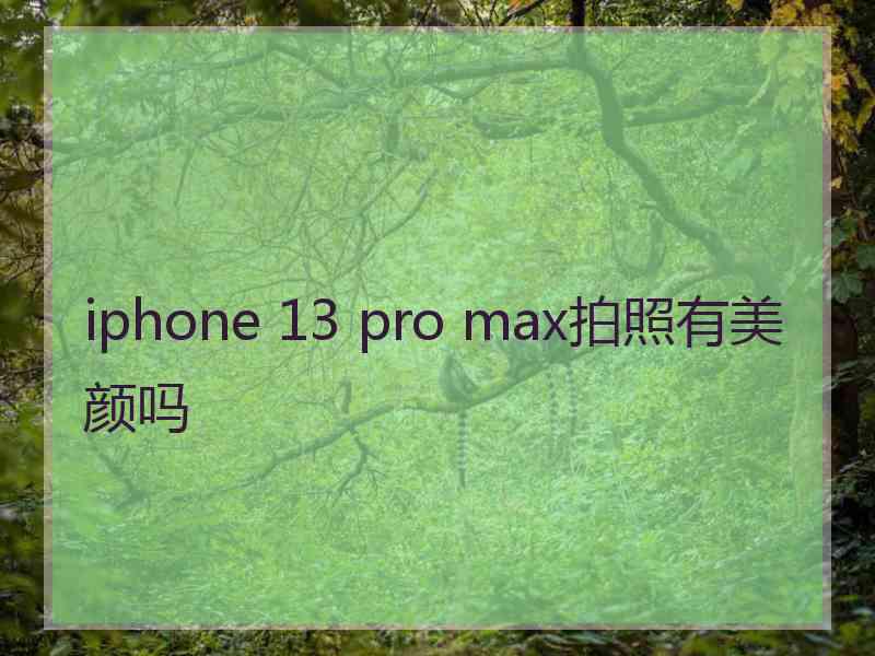 iphone 13 pro max拍照有美颜吗