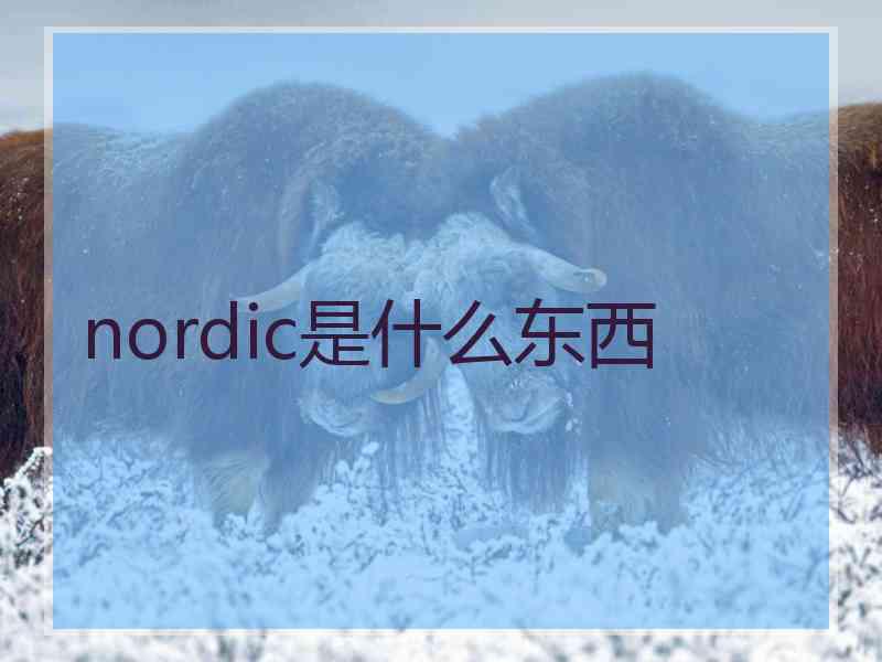 nordic是什么东西