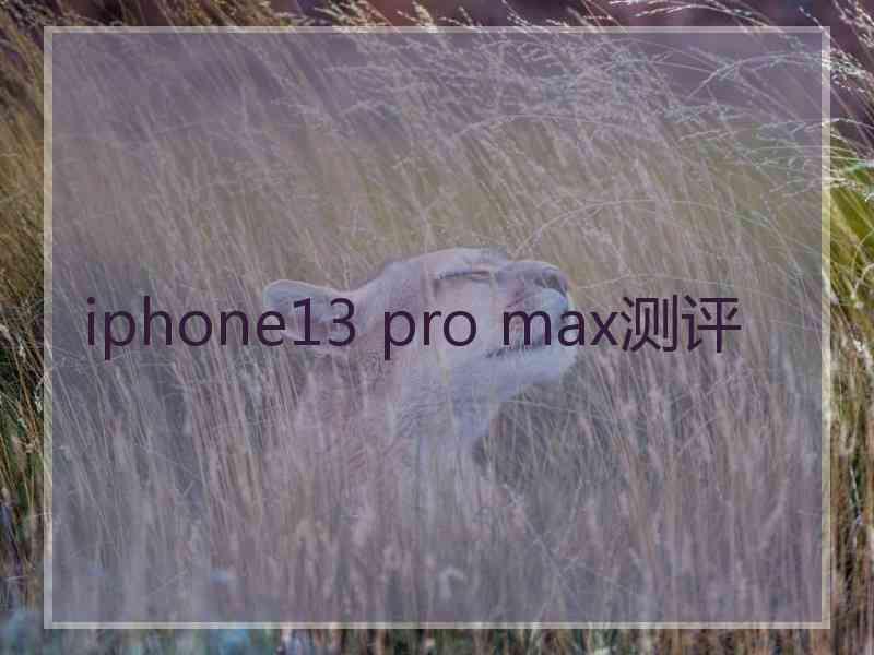 iphone13 pro max测评