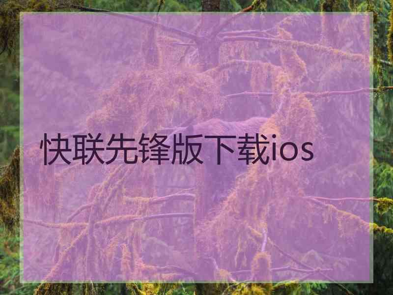 快联先锋版下载ios