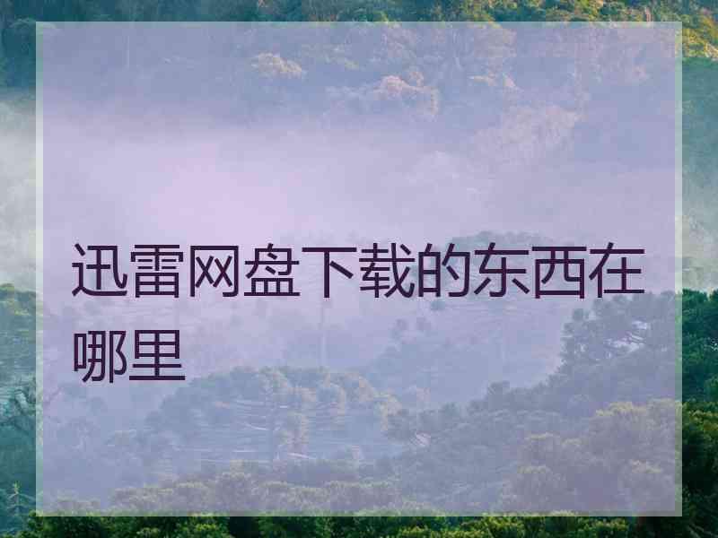 迅雷网盘下载的东西在哪里