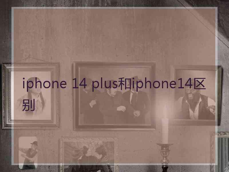 iphone 14 plus和iphone14区别