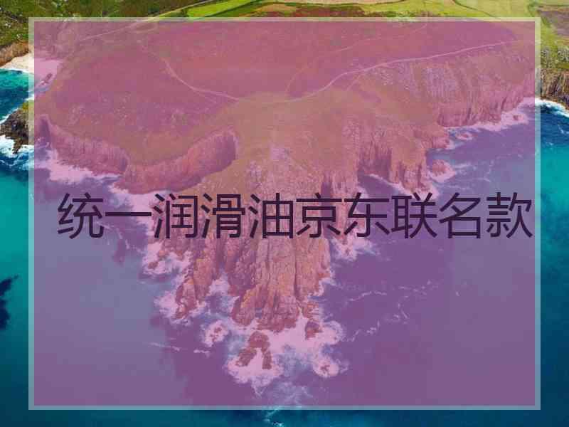 统一润滑油京东联名款