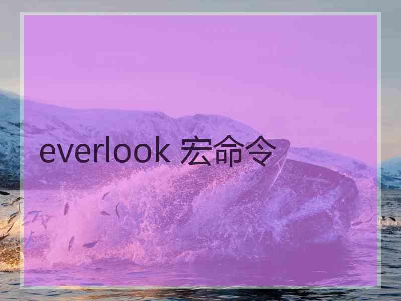 everlook 宏命令