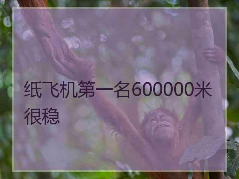 纸飞机第一名600000米很稳