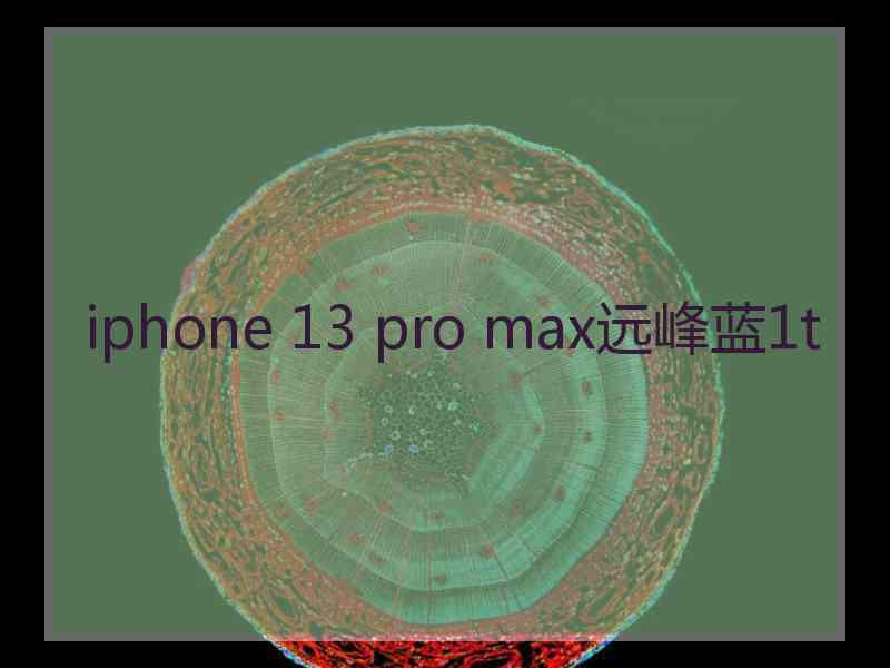 iphone 13 pro max远峰蓝1t