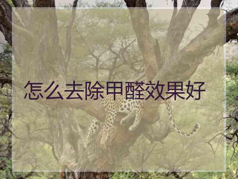 怎么去除甲醛效果好