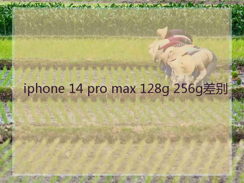 iphone 14 pro max 128g 256g差别