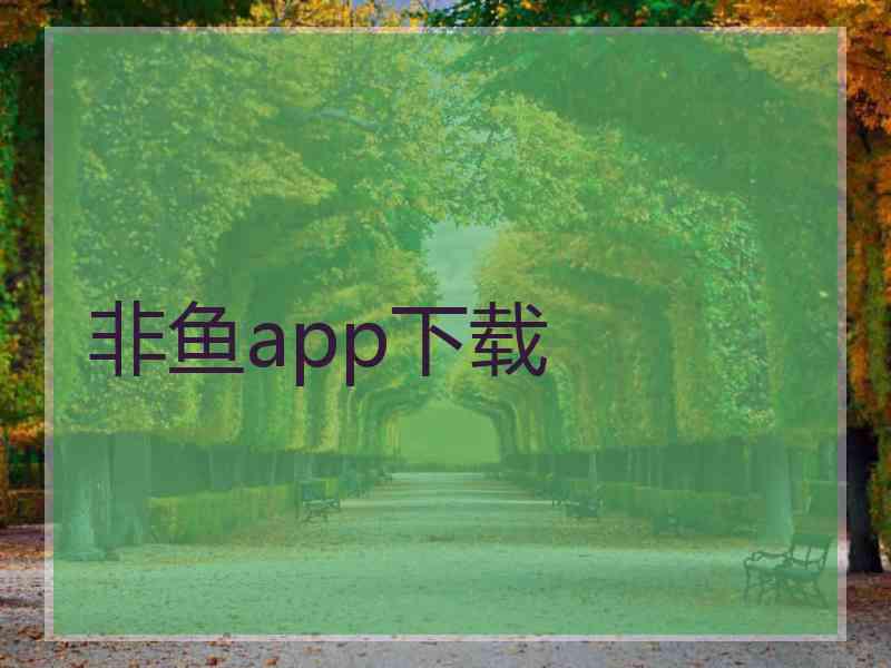 非鱼app下载