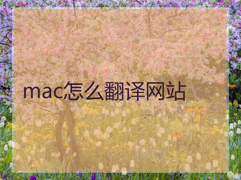 mac怎么翻译网站