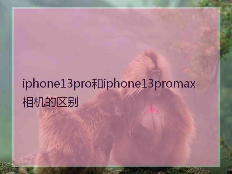 iphone13pro和iphone13promax相机的区别