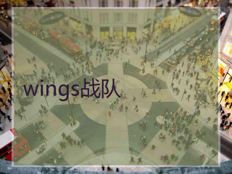 wings战队