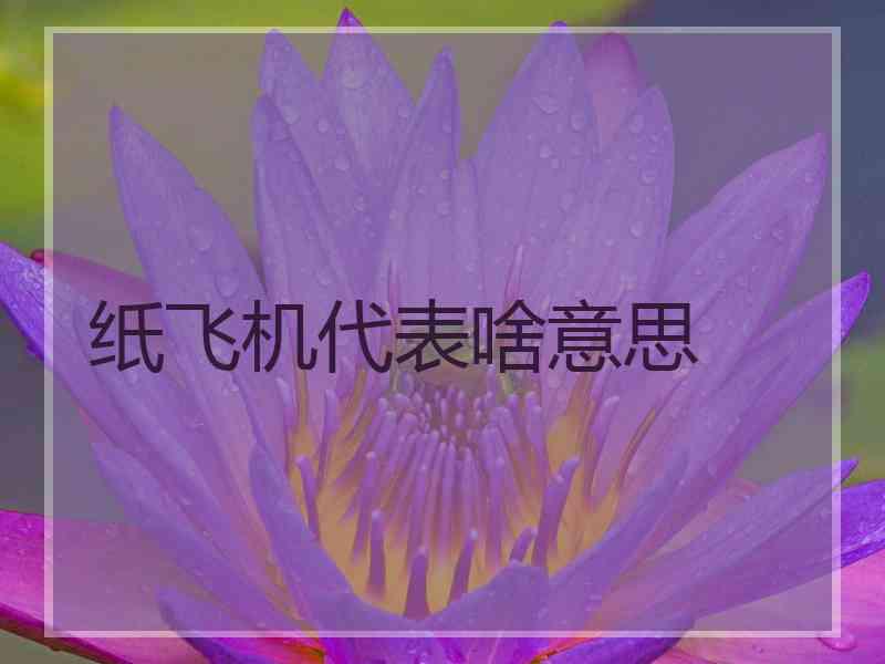 纸飞机代表啥意思