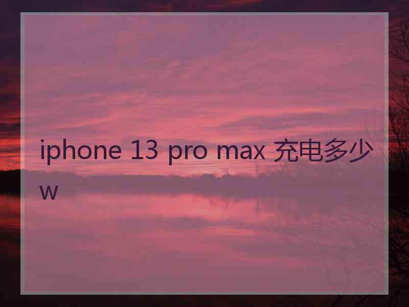 iphone 13 pro max 充电多少w