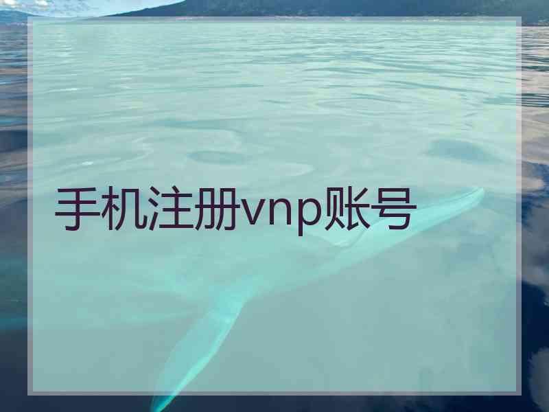 手机注册vnp账号