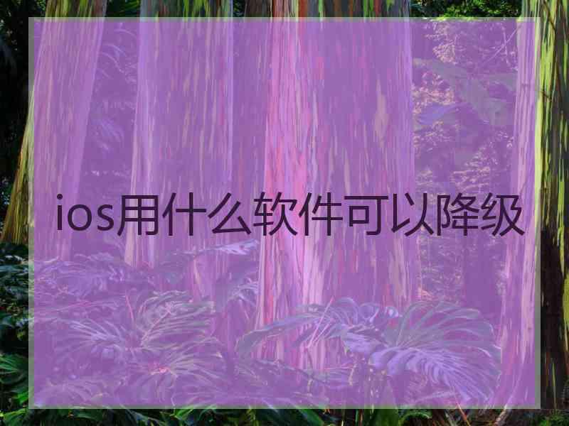 ios用什么软件可以降级