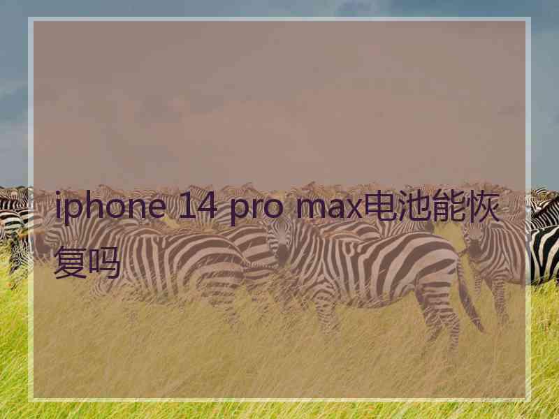 iphone 14 pro max电池能恢复吗