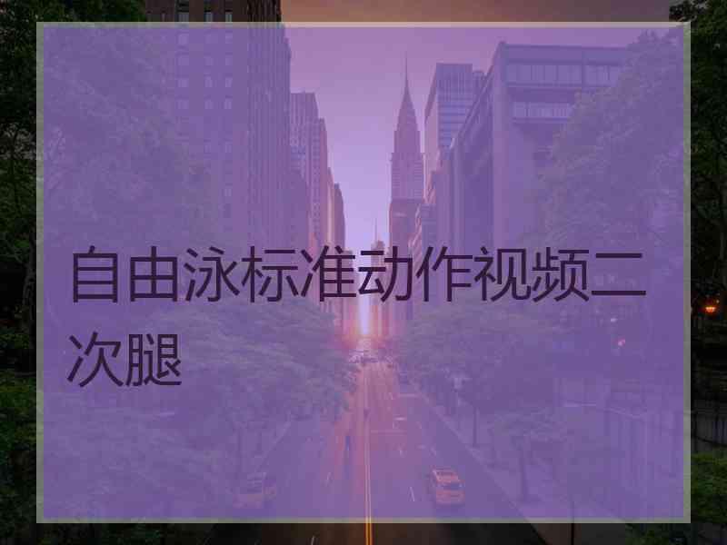 自由泳标准动作视频二次腿