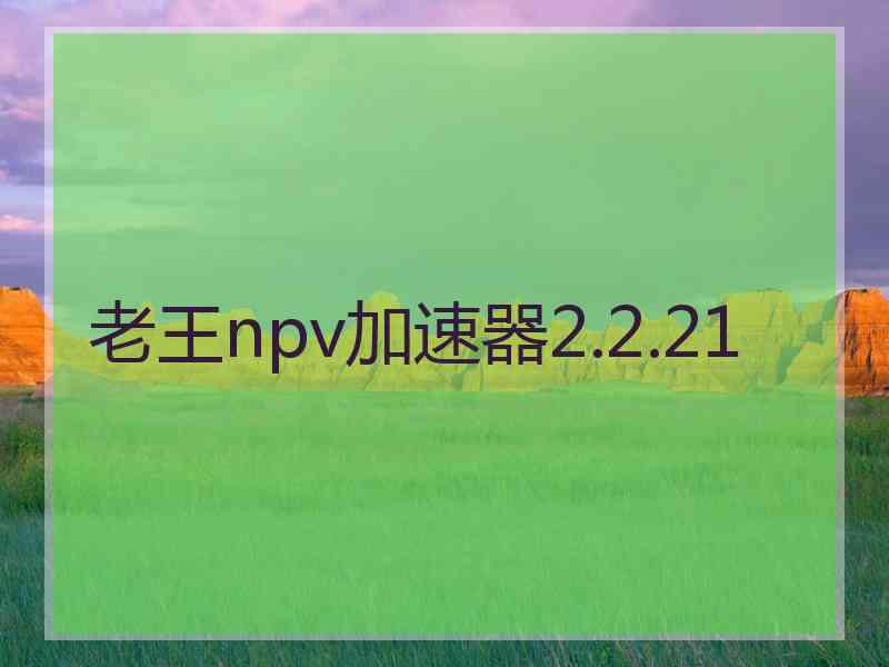 老王npv加速器2.2.21