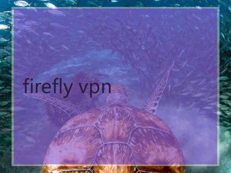 firefly vpn