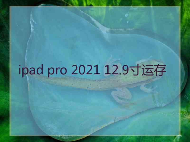 ipad pro 2021 12.9寸运存