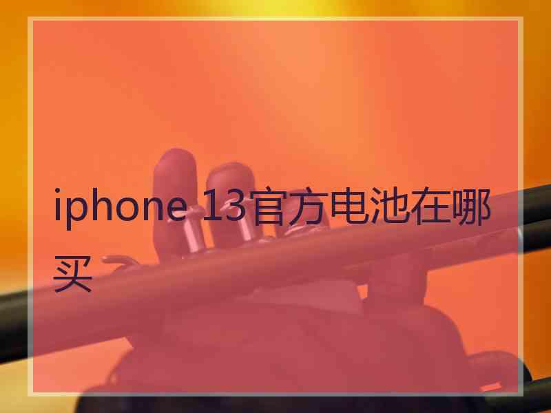 iphone 13官方电池在哪买