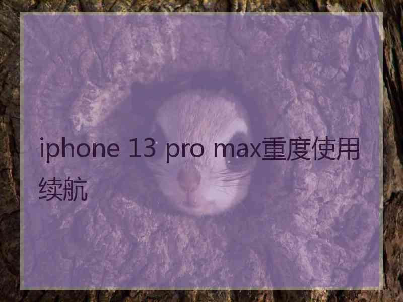 iphone 13 pro max重度使用续航