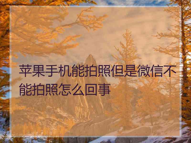 苹果手机能拍照但是微信不能拍照怎么回事