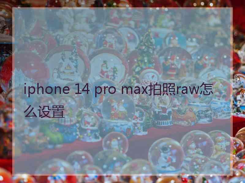 iphone 14 pro max拍照raw怎么设置