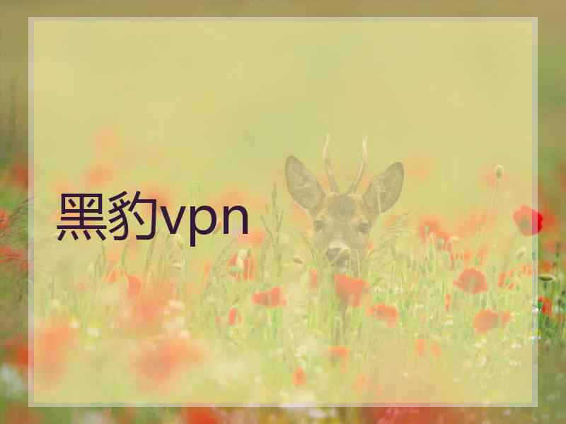 黑豹vpn