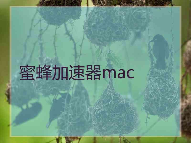 蜜蜂加速器mac