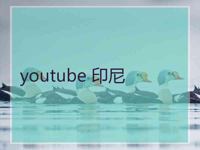 youtube 印尼