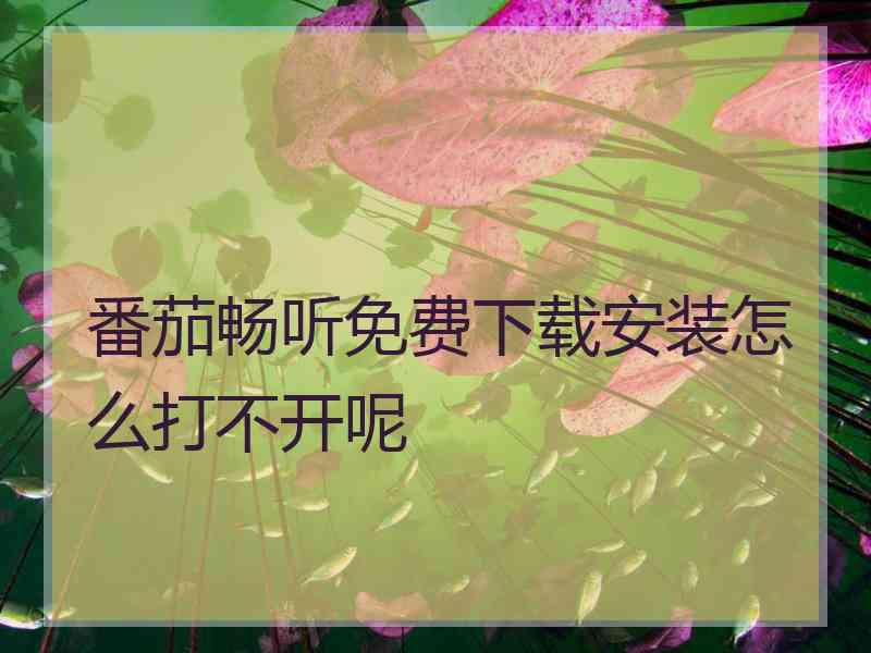 番茄畅听免费下载安装怎么打不开呢