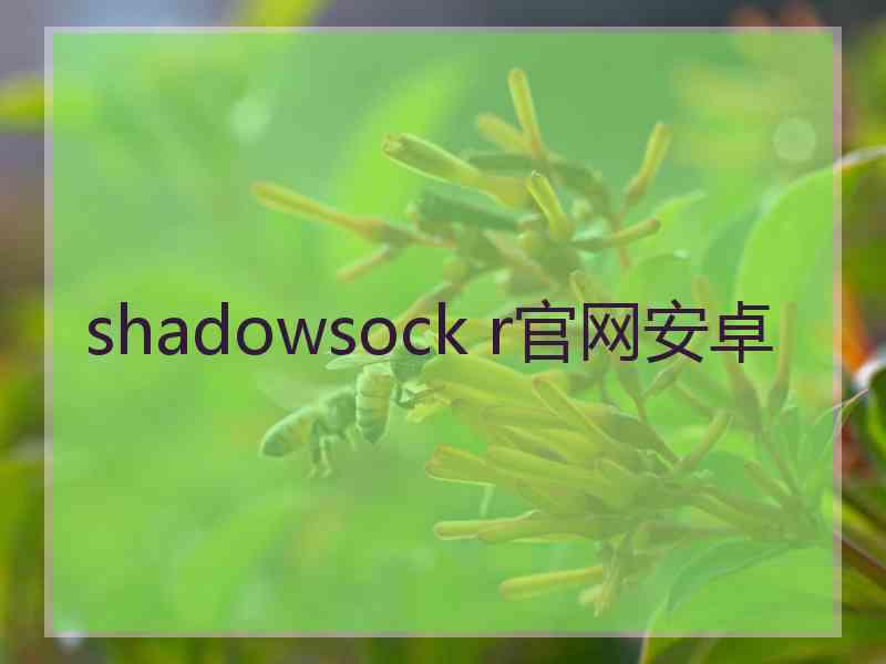 shadowsock r官网安卓