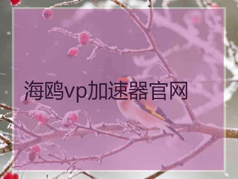 海鸥vp加速器官网