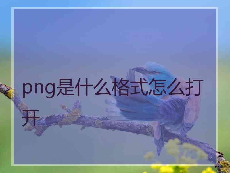 png是什么格式怎么打开