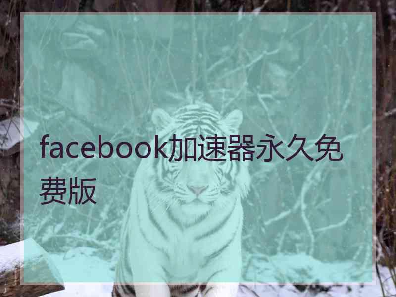 facebook加速器永久免费版