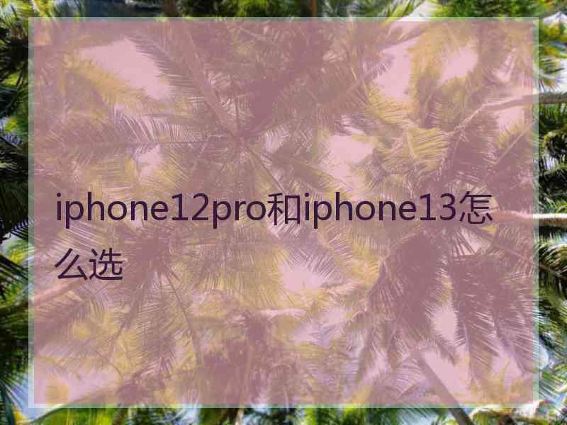 iphone12pro和iphone13怎么选