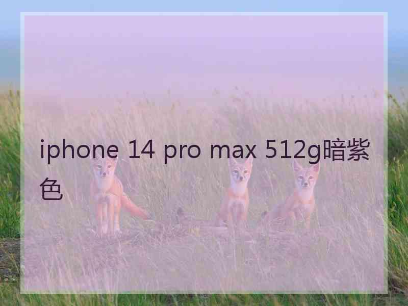 iphone 14 pro max 512g暗紫色