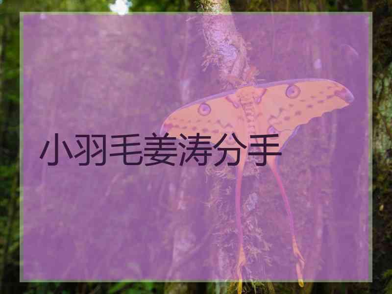 小羽毛姜涛分手