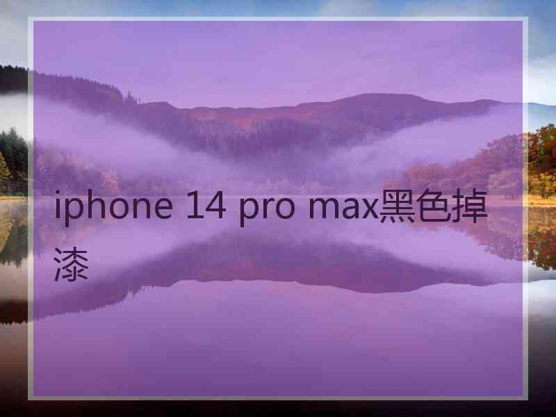 iphone 14 pro max黑色掉漆