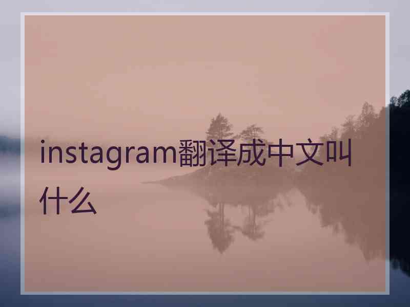 instagram翻译成中文叫什么