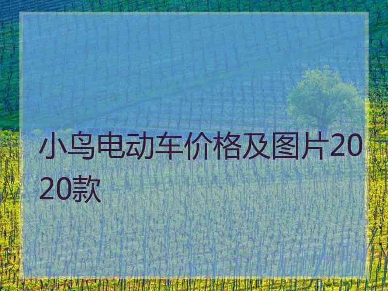 小鸟电动车价格及图片2020款