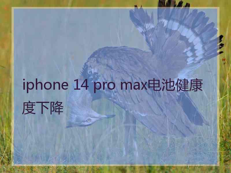 iphone 14 pro max电池健康度下降