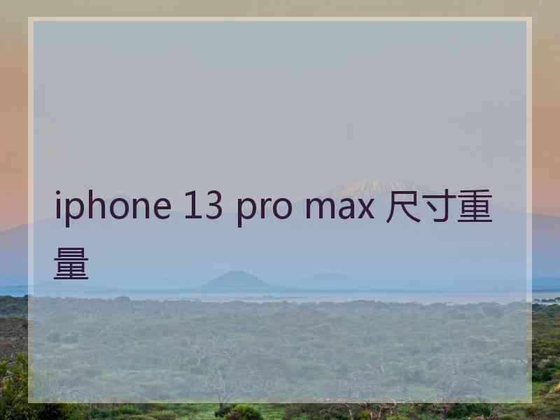 iphone 13 pro max 尺寸重量